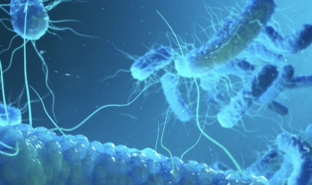 Closed-loop systems and the hidden threat of Legionella