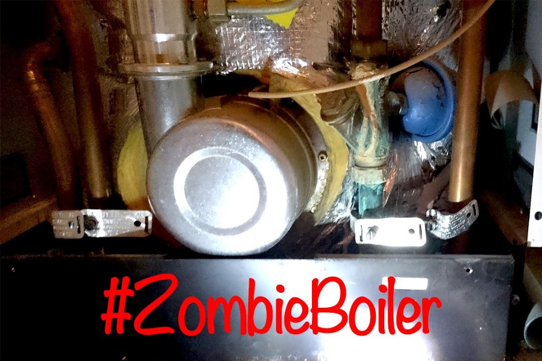 Zombie boiler hunter winner