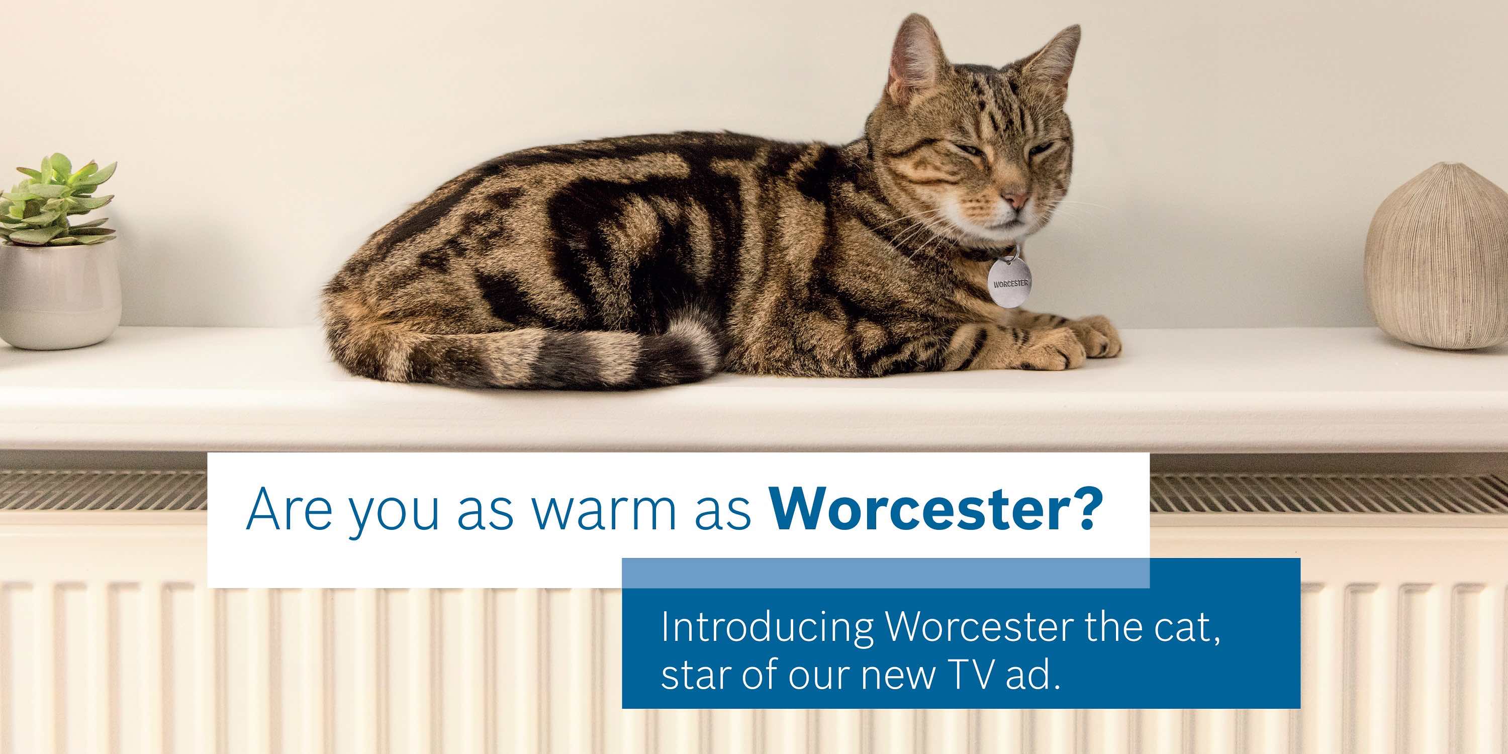 What’s new pussycat?