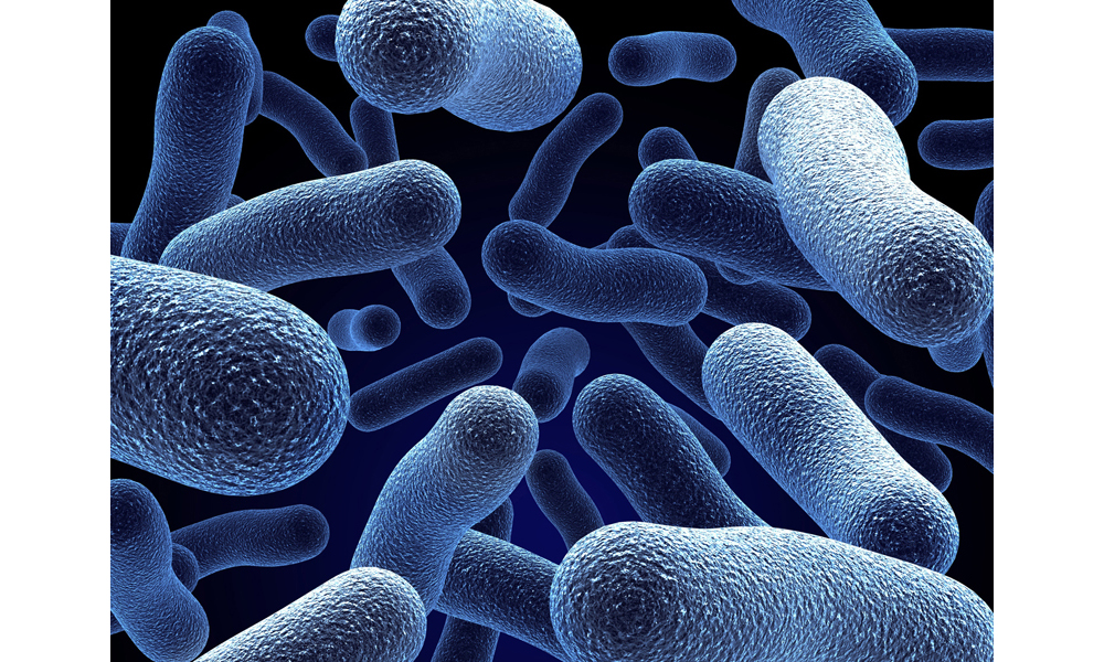 Legionella fatality raises wider safety concerns