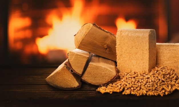 New voice for the wood fuel industry